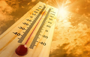 Temperature 